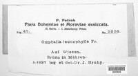 Image Associated With the Occurence